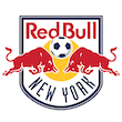 New York Red Bulls logo 